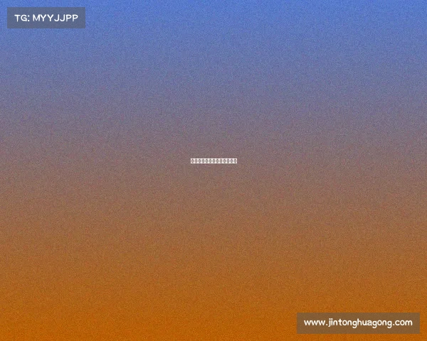 奥迪赛事冠军、奥迪赛事荣誉